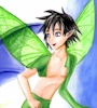 Fairies