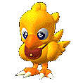 A Baby Chocobo!