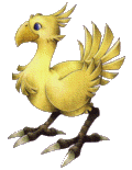 A Chocobo!